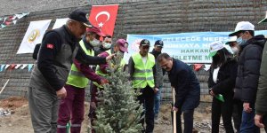 Vali Akbıyık: "Hakkari'de 87 bin fidan dikeceğiz"