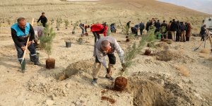 Gürpınar'da kent ormanı kuruldu