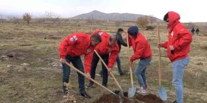 Tatvan'da fidan dikimi