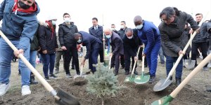 Ağrı'da 'Milli Ağaçlandırma Günü'nde fidanlar toprakla buluşturuldu