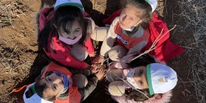 Bingöl ve Elazığ'da binlerce fidan toprakla buluştu