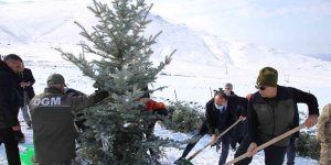 Kar altında binlerce fidanı toprakla buluşturdular