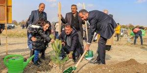 Van'da Kovid-19'la mücadele eden hemşireler için hatıra ormanı oluşturuldu