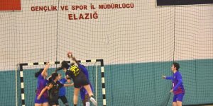 Kadınlar Hentbol 1. Ligi: Elazığ SYSK: 20 - Mersin Büyükşehir Belediyespor: 22