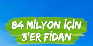 Bingöl'de 70 dönüme 5 bin fidan dikilecek