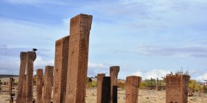Ahlat'taki Selçuklu Mezarlığında 30 çocuk mezarı bulundu