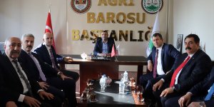 MHP heyeti Ağrı'da incelemelerde bulundu