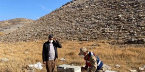 Bitlis'te küçükbaş hayvan ve arı kovanı çalan şahıslar yakalandı