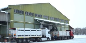 Muş'ta bu sezon 38 bin 290 ton şeker üretildi