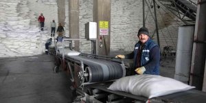 Muş'ta 38 bin 290 ton şeker üretimi yapıldı