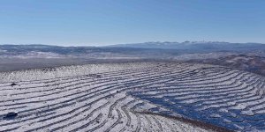 Bingöl'de 210 bin adet fidan toprakla buluştu