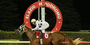 Elazığ'a 50 yarış günü