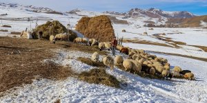 Van'da devlet desteğiyle iş sahibi olan eski hükümlüler geleceğe umutlu bakıyor
