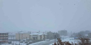 Ağrı'da Hamur, Taşlıçay, Patnos ve Tutak ilçelerinde eğitime kar engeli
