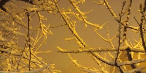 Hakkari'de taşımalı eğitime 1 gün ara verildi