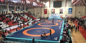 Erzincanlı güreşçiler Türkiye Serbest Güreş Şampiyonasında ter döktü