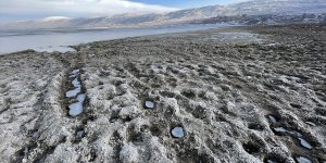 İklim değişikliği pelikanların yuvası Aktaş Gölü'nde su seviyesini düşürdü