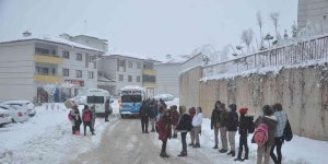 Yüksekova'da kar tatili