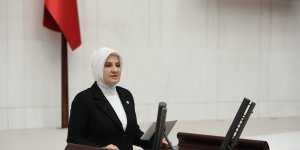 AK Parti Elazığ Milletvekili Balık muhalefete yüklendi