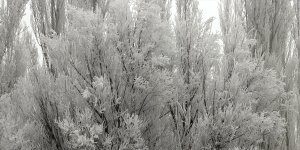 Ağrı sis bulutlarıyla kaplandı