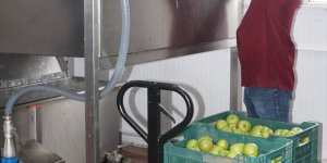 Erzincan'ın kurutulan meyveleri yurt dışı pazarında