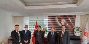 Ardahan'da kedi ve köpekler kayıt altına alınacak