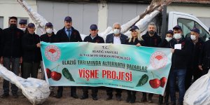 Elazığ'da 3 bin vişne fidanı dağıtıldı