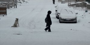 Kars ve Tunceli'de kar yağışı ile sis hayatı olumsuz etkiledi