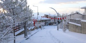 Van'da kar nedeniyle 83 yerleşim yerinin yolu kapandı