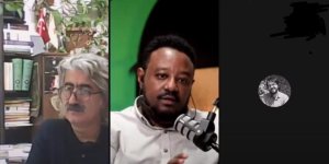 Etiyopya'daki Tigray krizi web seminerde tartışıldı