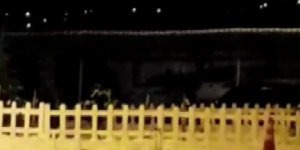 Tilki ve kedinin kavgası gülümsetti