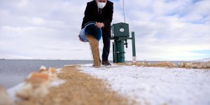 Karla kaplanan Çıldır Gölü çevresinde doğaya yem bırakıldı