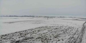Kars'ta göçerlerin kar üzerinde zorlu yolculuğu