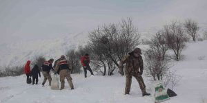 Yaban hayvanları için doğaya yem bırakıldı