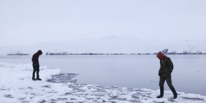 Bitlis'te yüzeyi buz tutan Nazik Gölü'nde kıyıya vuran balıklar dondu