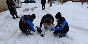 Elazığ'da polis ekiplerinden sokak hayvanlarına yem ve mama desteği