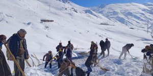 Mahalle sakinlerinden örnek davranış