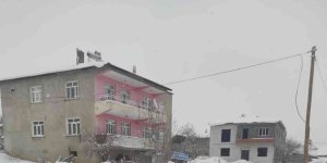 Baskil Kaymakamlığı sokak hayvanlarını unutmadı