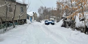 Ağrı'da kar yerini soğuk havaya bıraktı
