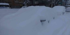 Muş'ta 352 köy yolu ulaşıma kapandı