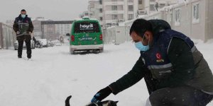 Elazığ'da 'HAYDİ' polisleri sokak hayvanlarını mamayla besledi