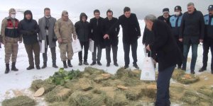 Pütürge'de yaban hayvanları unutulmadı