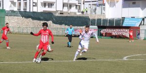 TFF 3. Lig: HD Elazığ Karakoçan: 2 - Hacettepe: 1