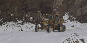 Muş'ta 55 köy yolu kar nedeniyle ulaşıma kapandı