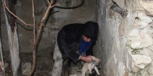 Toprak altında mahsur kalan yavru köpekleri belediye ekipleri kurtardı