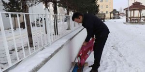 Kaymakam sokak hayvanlarını unutmadı