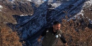 Tunceli'de yaban hayvanları için karla kaplı dağlara yem bırakıldı