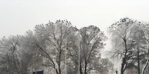 Erzincan son 40 yılın en soğuk günlerini yaşıyor