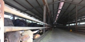 Erzurum'a 42 milyon hibe desteği