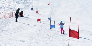 Hakkari ve Van Alp Disiplini Kayak İl Birinciliği Yarışması, Hakkari'de yapıldı